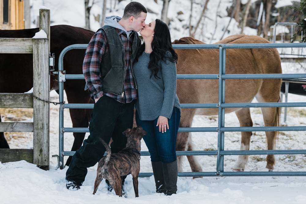 Engagement photos with horses and dog in Connecticut